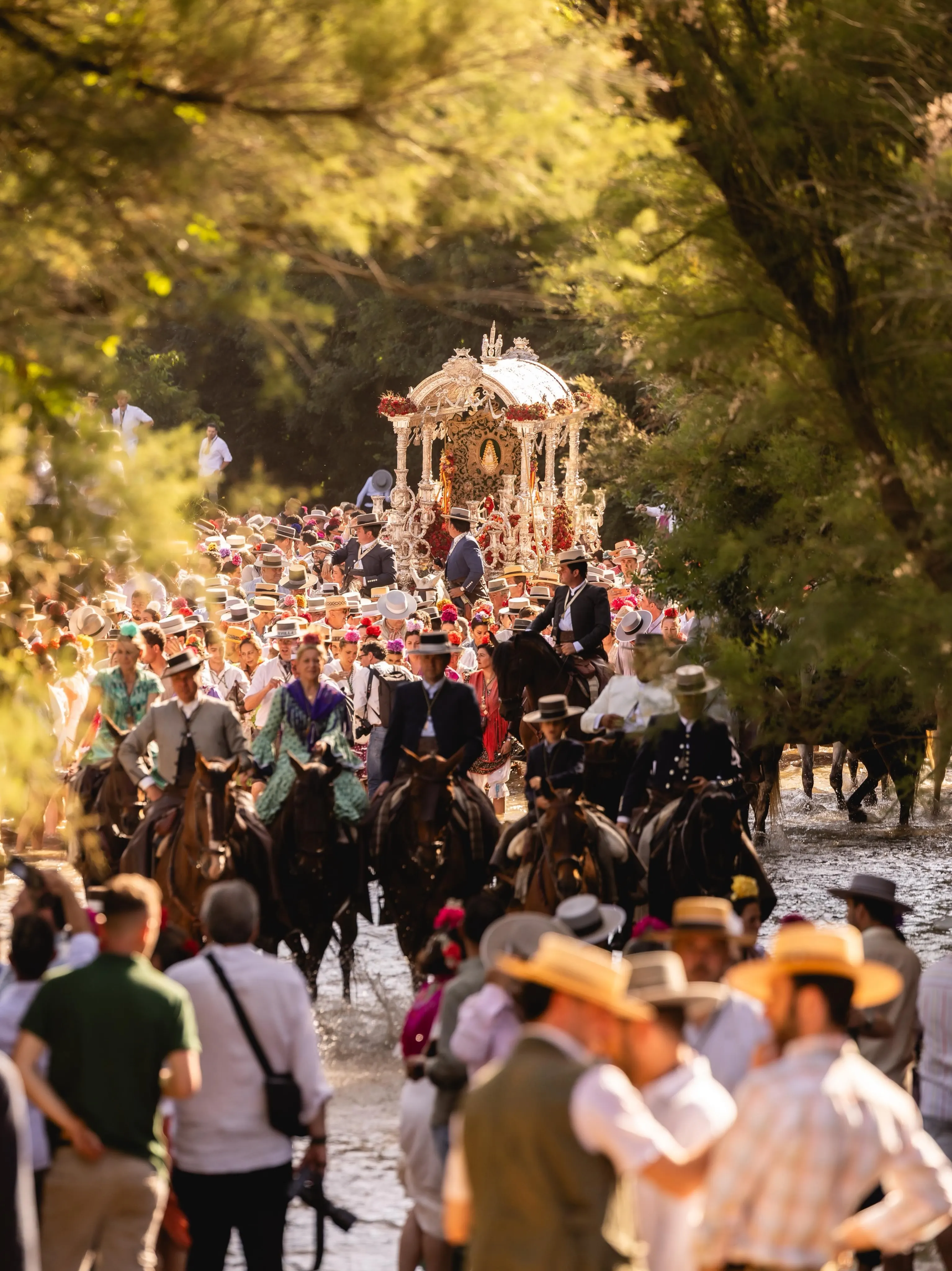 Momentos del Camino Rocio 2026-00155