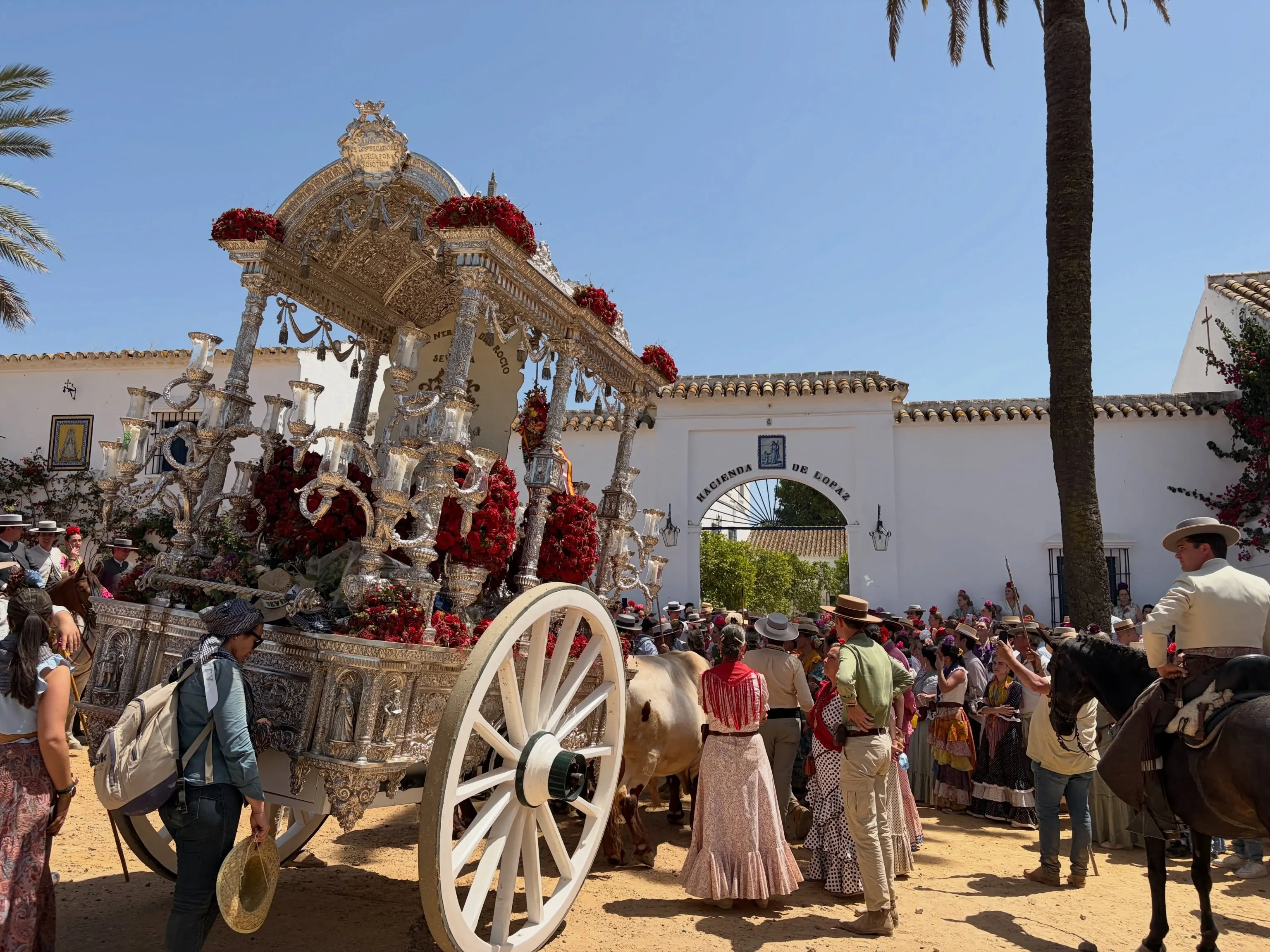 Momentos del Camino Rocio 2026-00165