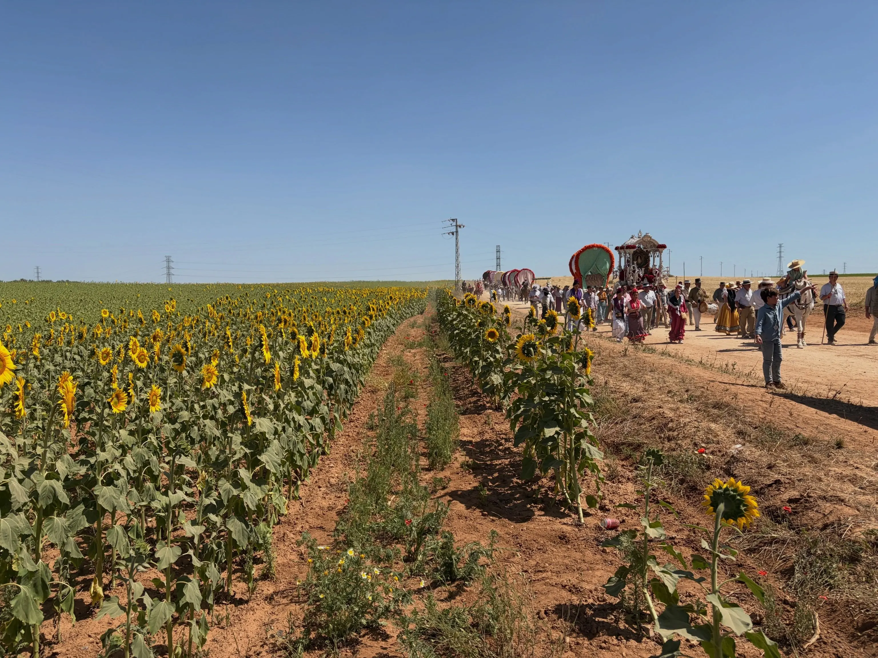 Momentos del Camino Rocio 2026-00175