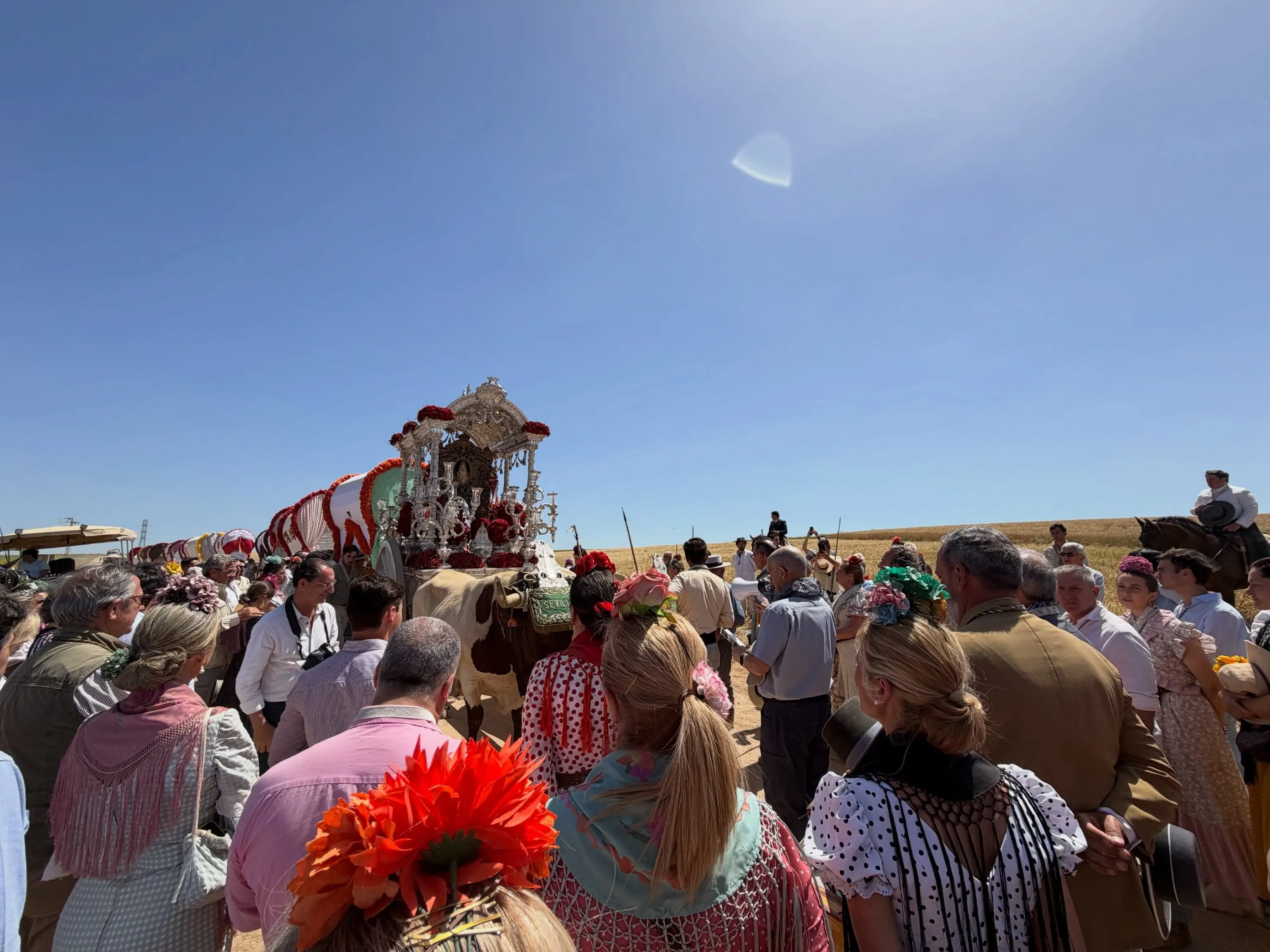 Momentos del Camino Rocio 2026-00182