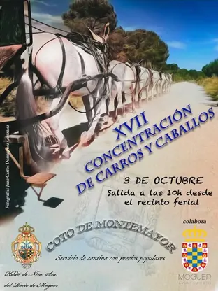 Vista lateral de una fila de caballos blancos enganchados a carros que avanzan por un camino rural bajo un cielo azul despejado