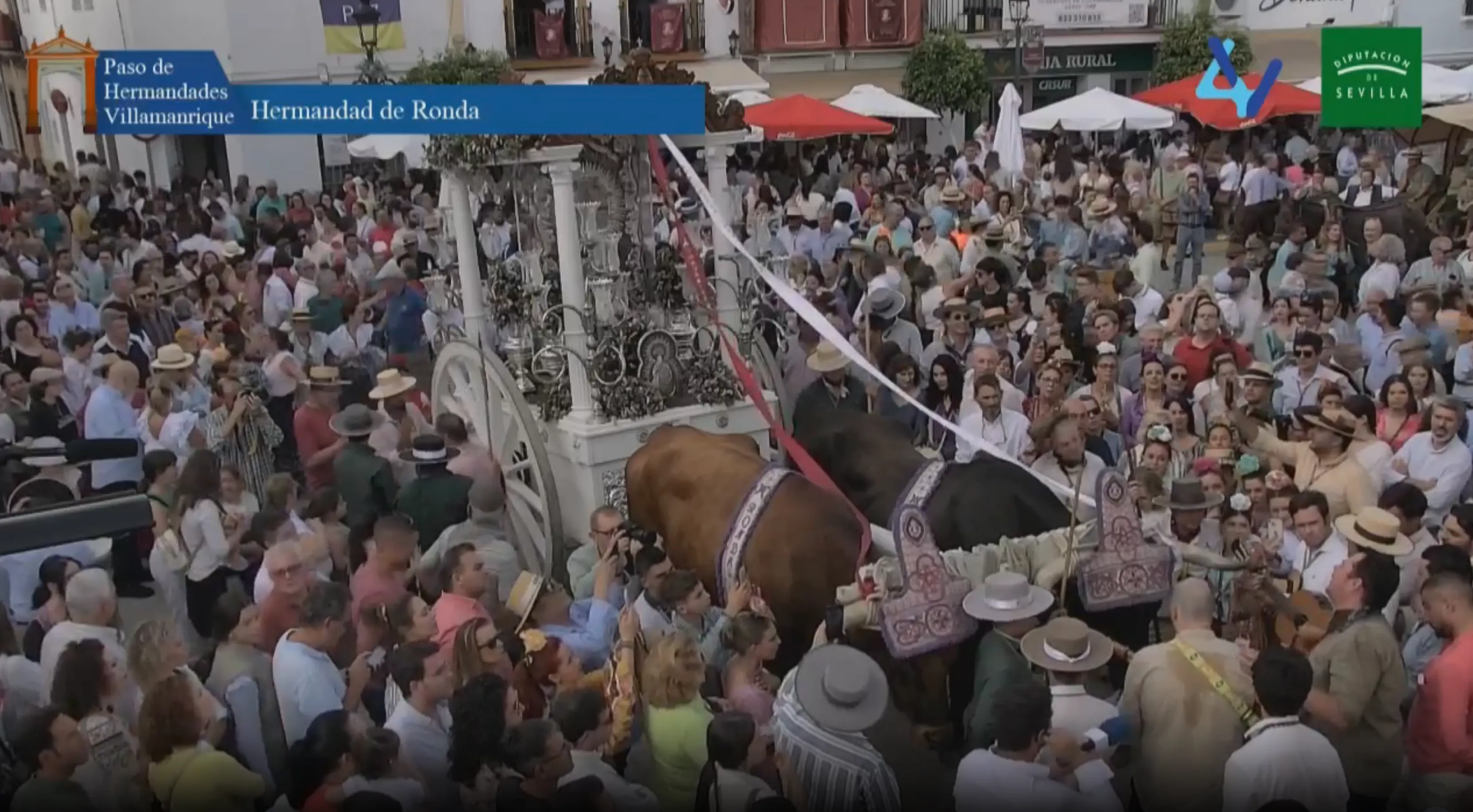 Presentacion rocio ronda en villamanrique 2023-7