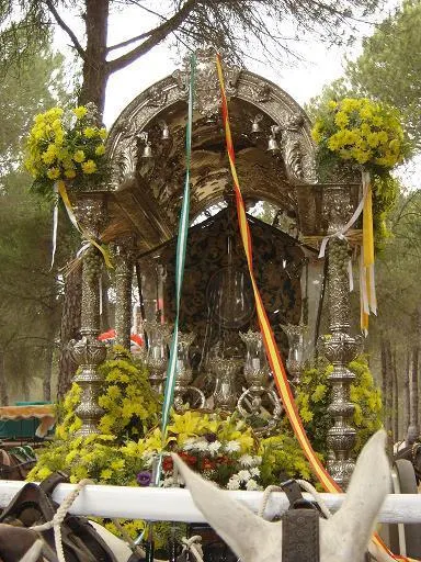 bonares-carreta