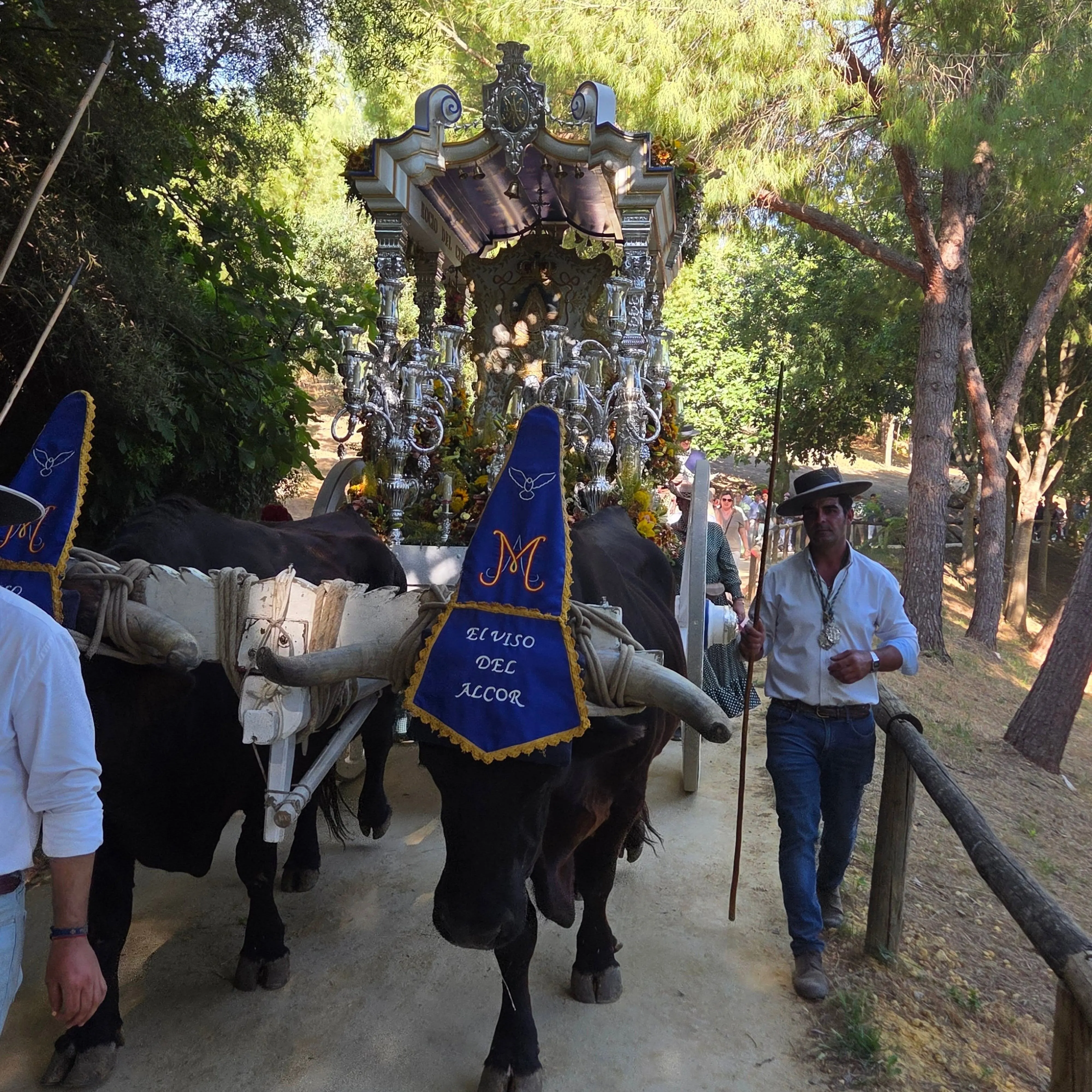 Momentos del Camino Rocio 2026-00038