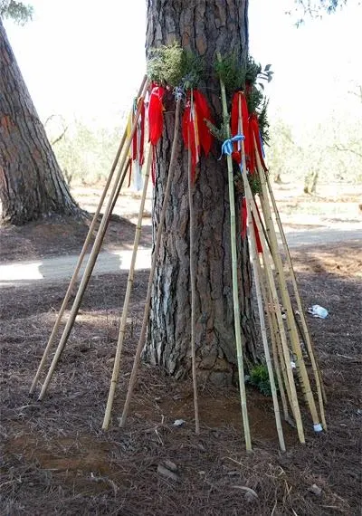 5015-el-mundo-del-rocio-30