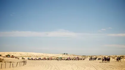 5015-el-mundo-del-rocio-6