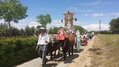 albacete-rocio.com-2014