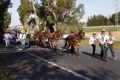 ayamonte-rocio.com-2014