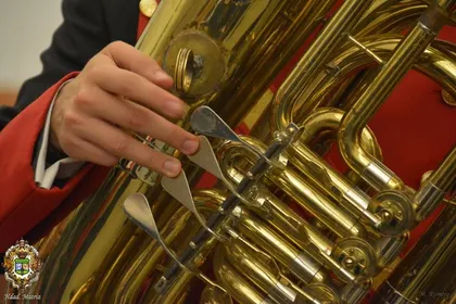 bandas virgen reyes-19