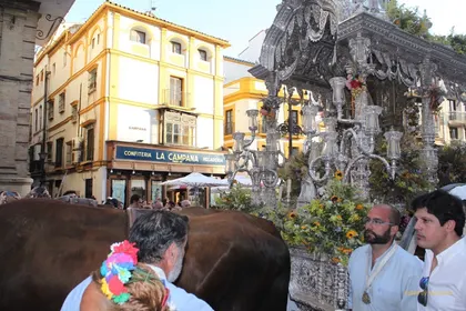 Rocio Macarena entrada 2015-IMG_2977