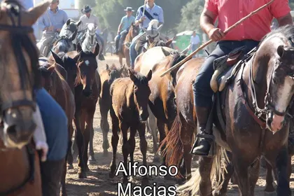 Saca yeguas 2015 a. Macias-6