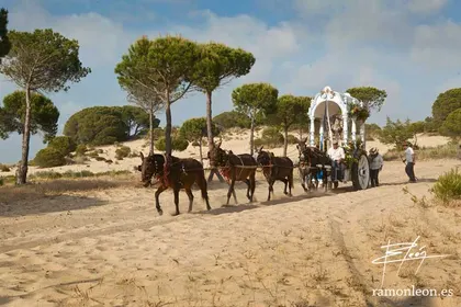 -hermandad-san-fernando-rocio-virgen-ramon-leon-fotografia-andalucia