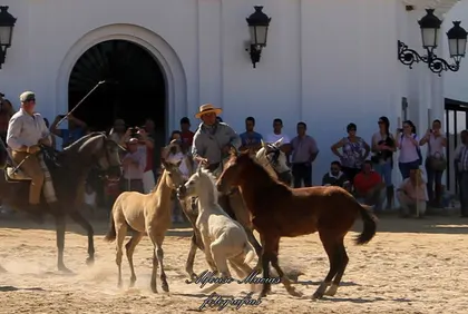 5382-macias-saca-2014-5