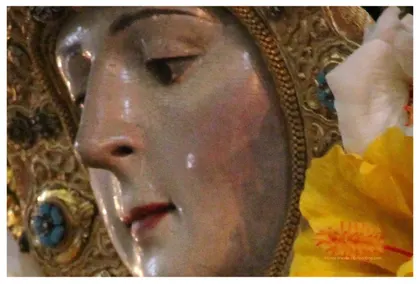 Virgen-Rocio-Detalles-Cara-2-1.jpg