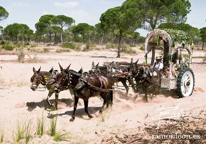 -hermandad-puerto-santa-maria-rocio-virgen-ramon-leon-fotografia-andalucia