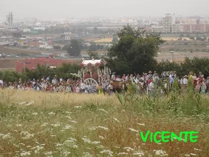 565-vicente-junco-triana6