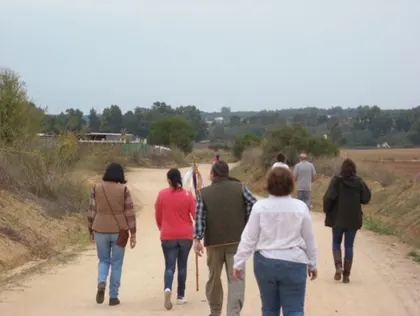 peregrinacion foro 2015-04