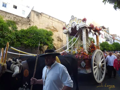 Cordoba al rocio 2016