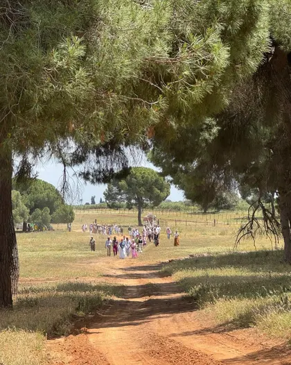 Momentos del Camino Rocio 2026-00133