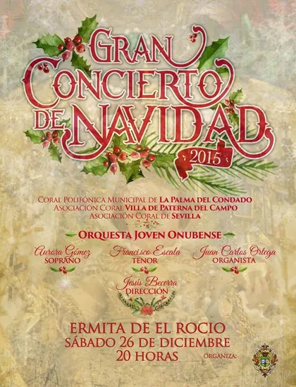 Matriz Navidad 2015 concierto