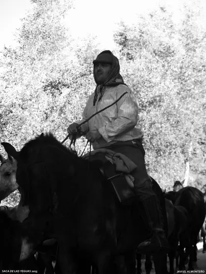 Javier coronel Saca Yeguas 2015-SAM_6772