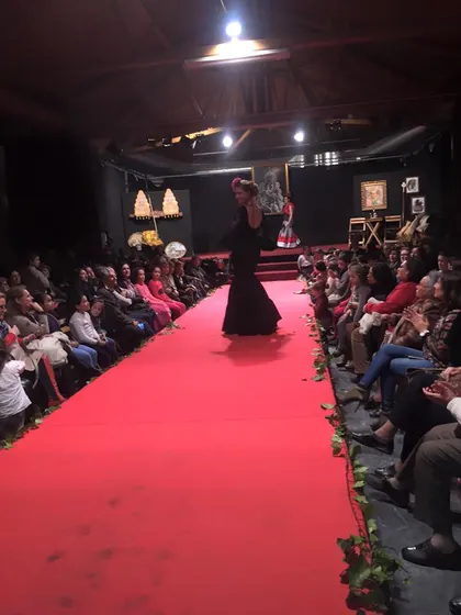 Salteras 2016 - desfile-14