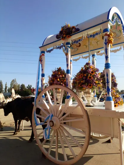 Momentos del Camino al Rocio 2019- Alicante