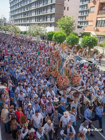 Momentos del Camino al Rocio 2019- Huelva-3