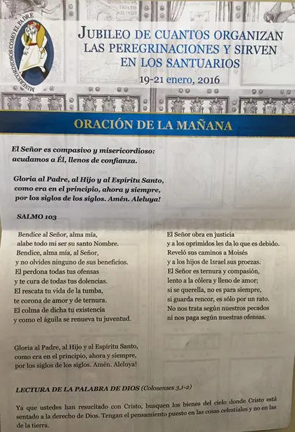 Encuentro reponsables santuarios Roma 2016 -11