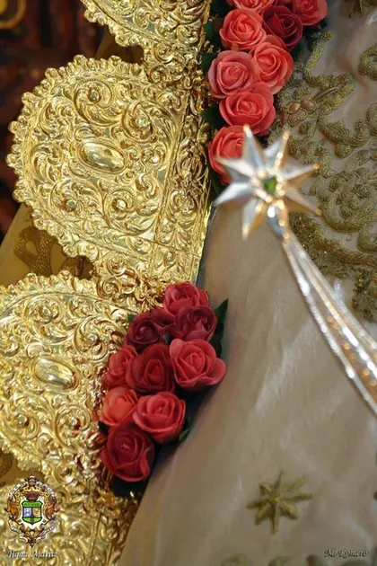 imagen virgen julio 2015-10