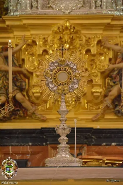 vigilia mariana 2015-2
