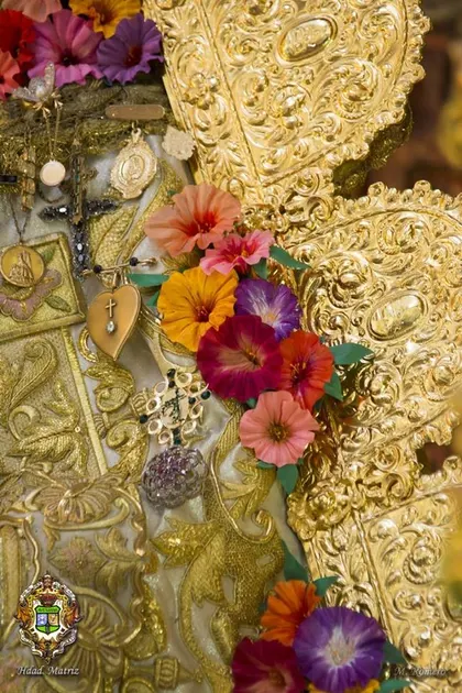 Camarin Virgen 2017 - 22