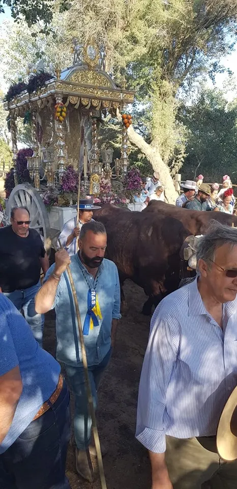 Momentos del Camino al Rocio 2019-Salteras-2