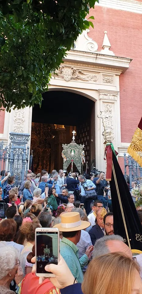Momentos del Camino al Rocio 2019- Sevilla-3