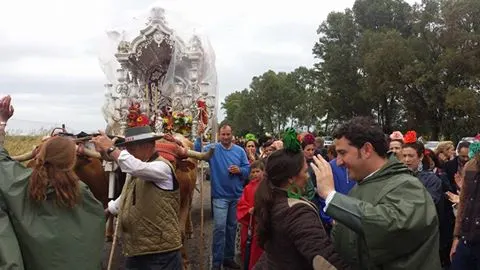 Olivares al rocio 2016-3