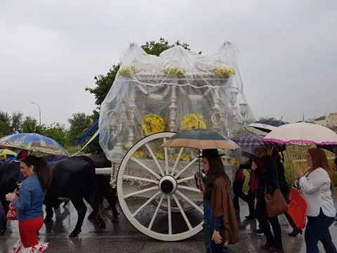 La Algaba al rocio 2016-1