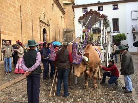 Ronda al Rocío 2016