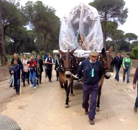 Bonares al rocio 2016-2