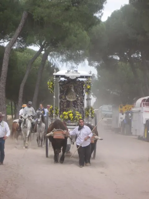 86-rocio-priego-10