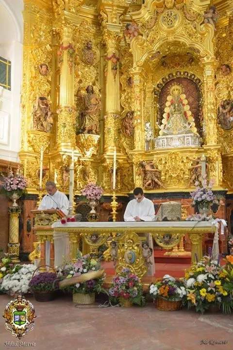 rosario rocio 1-11-2015-29