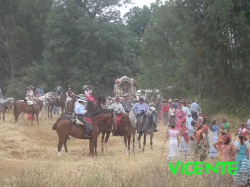 565-vicente-junco-triana12