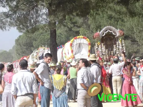 565-vicente-junco-triana13