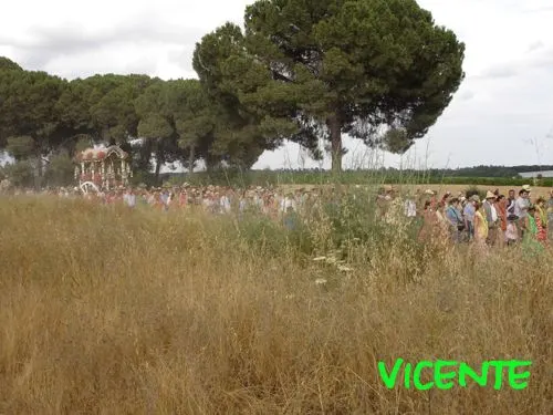 565-vicente-junco-triana15