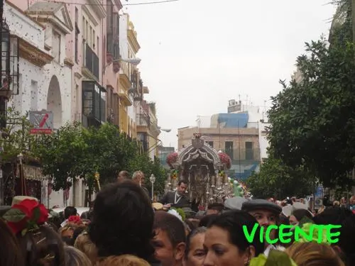 565-vicente-junco-triana4