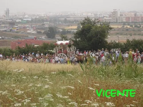 565-vicente-junco-triana6