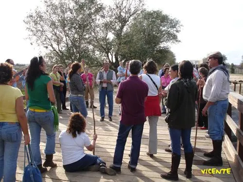 V-peregrinacion-foro-10