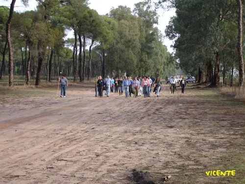 V-peregrinacion-foro-8