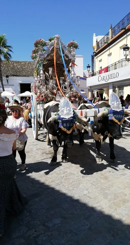 Momentos del Camino al Rocio 2019-Mairena del Alcor