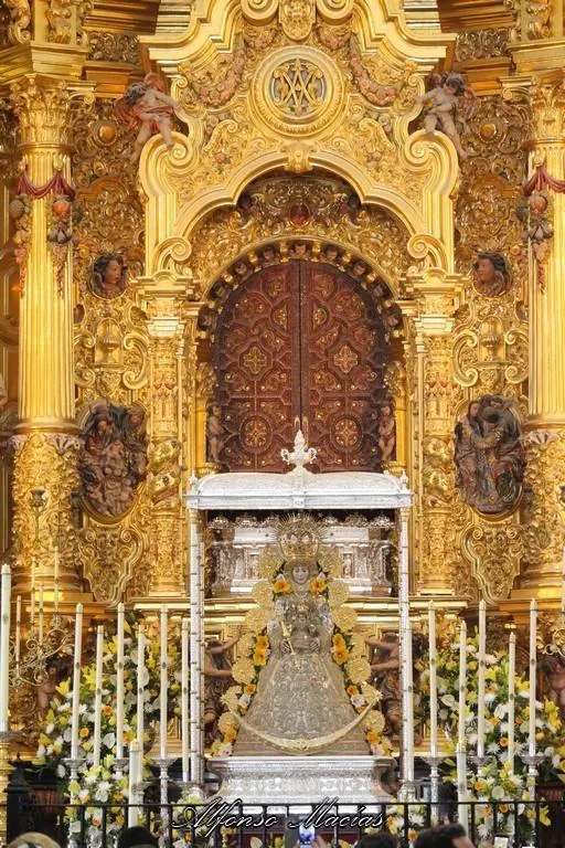 Alfonso Macias Rocio 2018-6