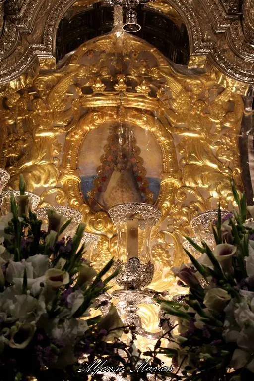 Alfonso Macias Rocio 2018-65